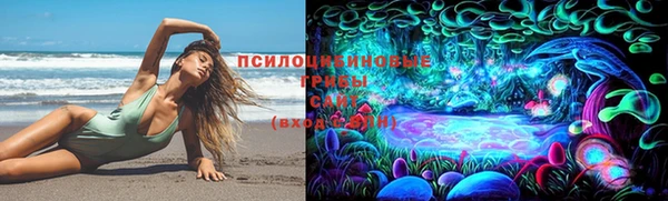 jwh Дмитриев