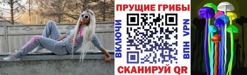Псилоцибиновые грибы GOLDEN TEACHER  Купить  Ишимбай 